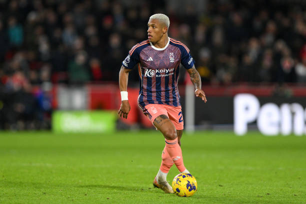 迅速赢得了 迅速赢得了